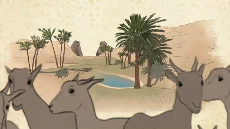 Petite Casbah × France TV