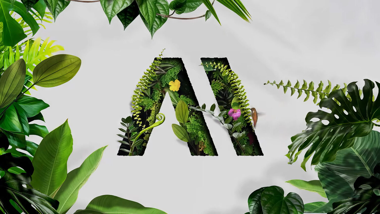 Logo Mediawan en 3D intégré dans une jungle végétale luxuriante, avec colibri et fleurs exotiques – création DOOH par Face X pour Dune Creative, Metaphor et Mediawan.